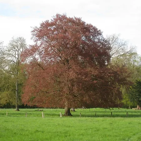 Guest house D'hotes Chateau D'omiecourt Omiecourt